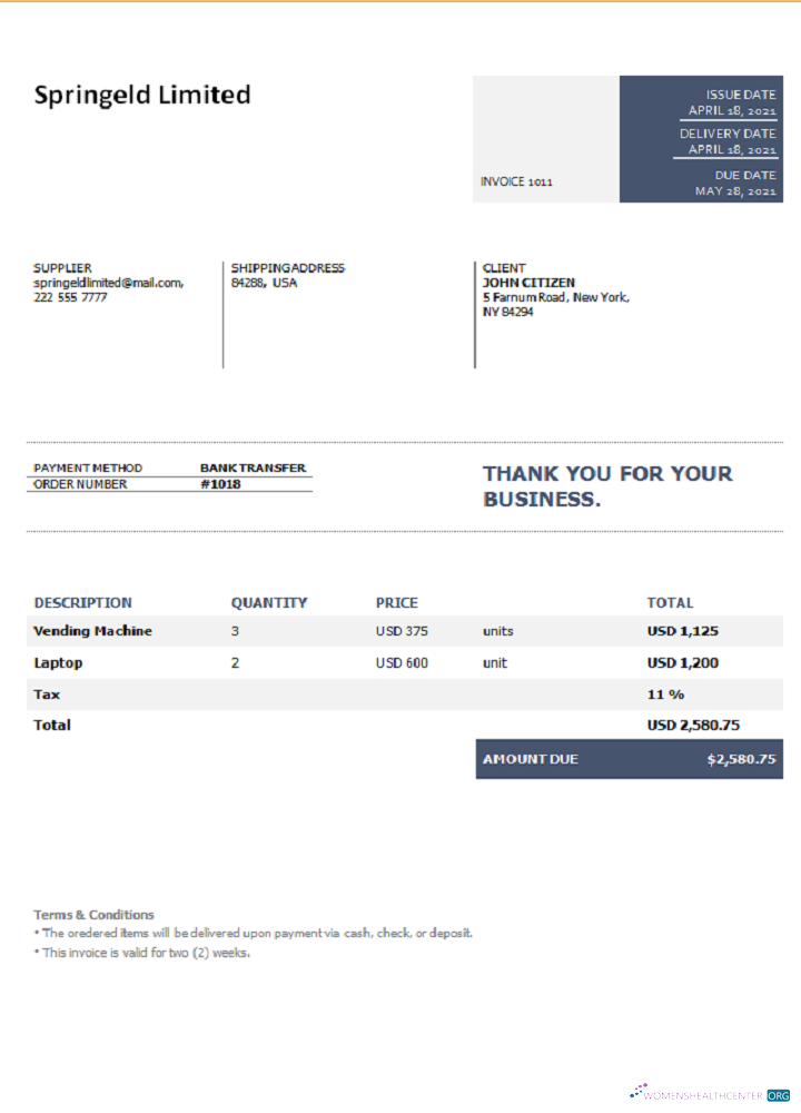 Download USA Springeld Limited invoice Photoshop template